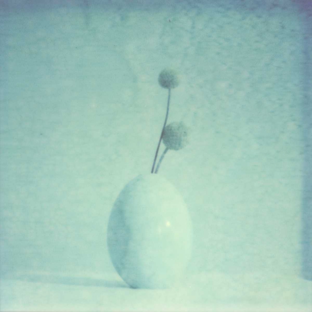 Color Shade III