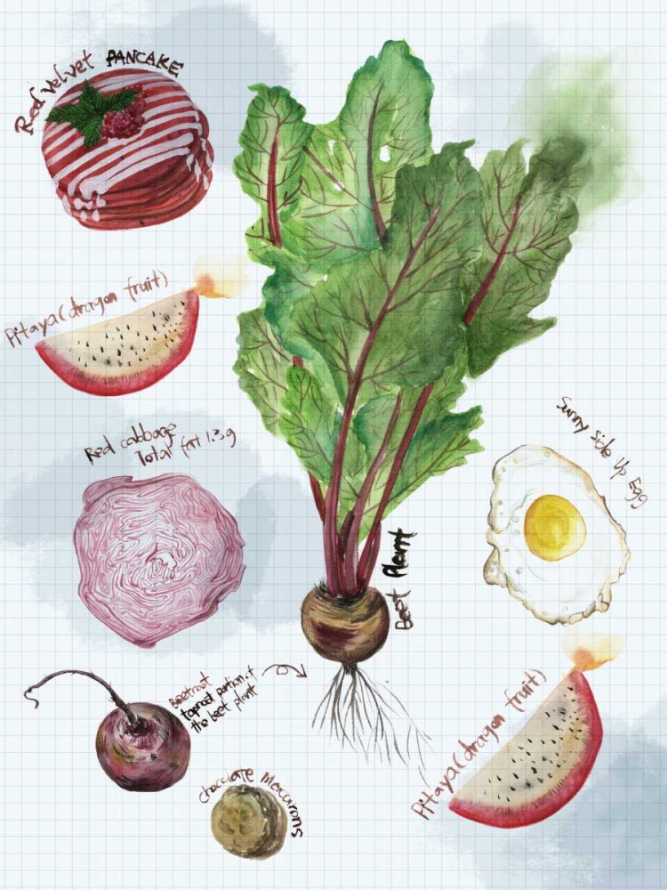 Food Sketches II