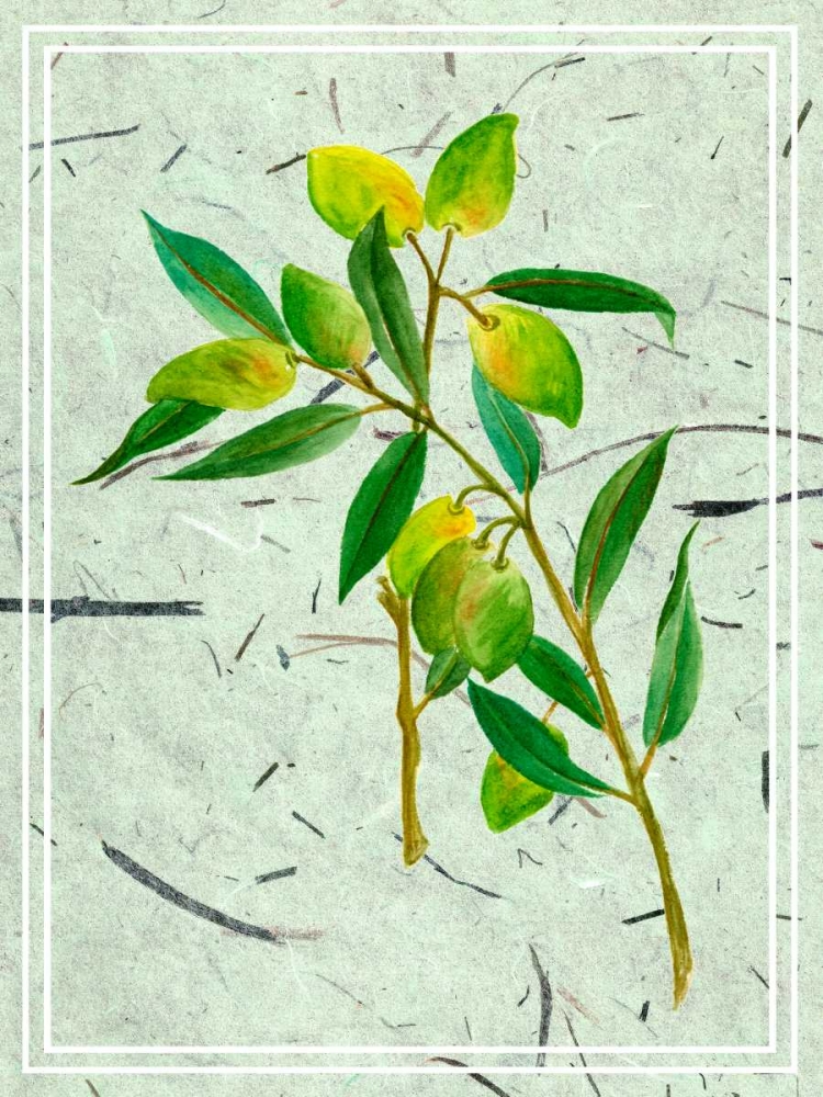 Olives on Textured Paper I