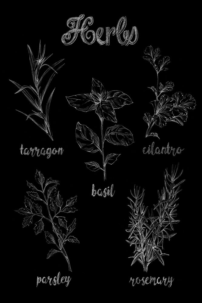 Herb Varieties