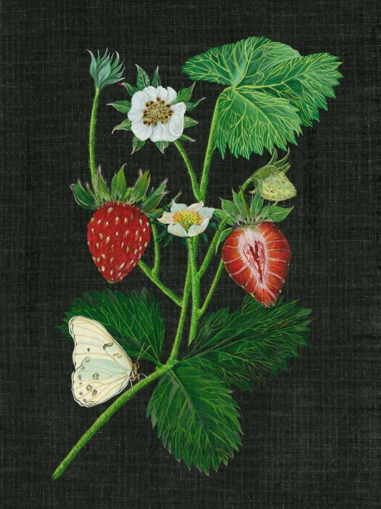 Strawberry Fields I