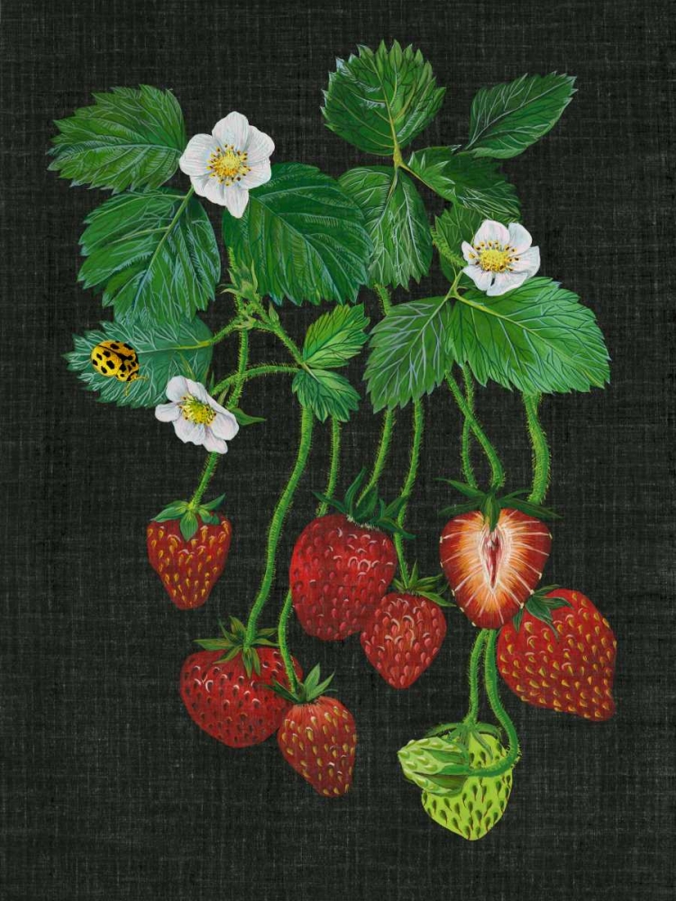 Strawberry Fields II