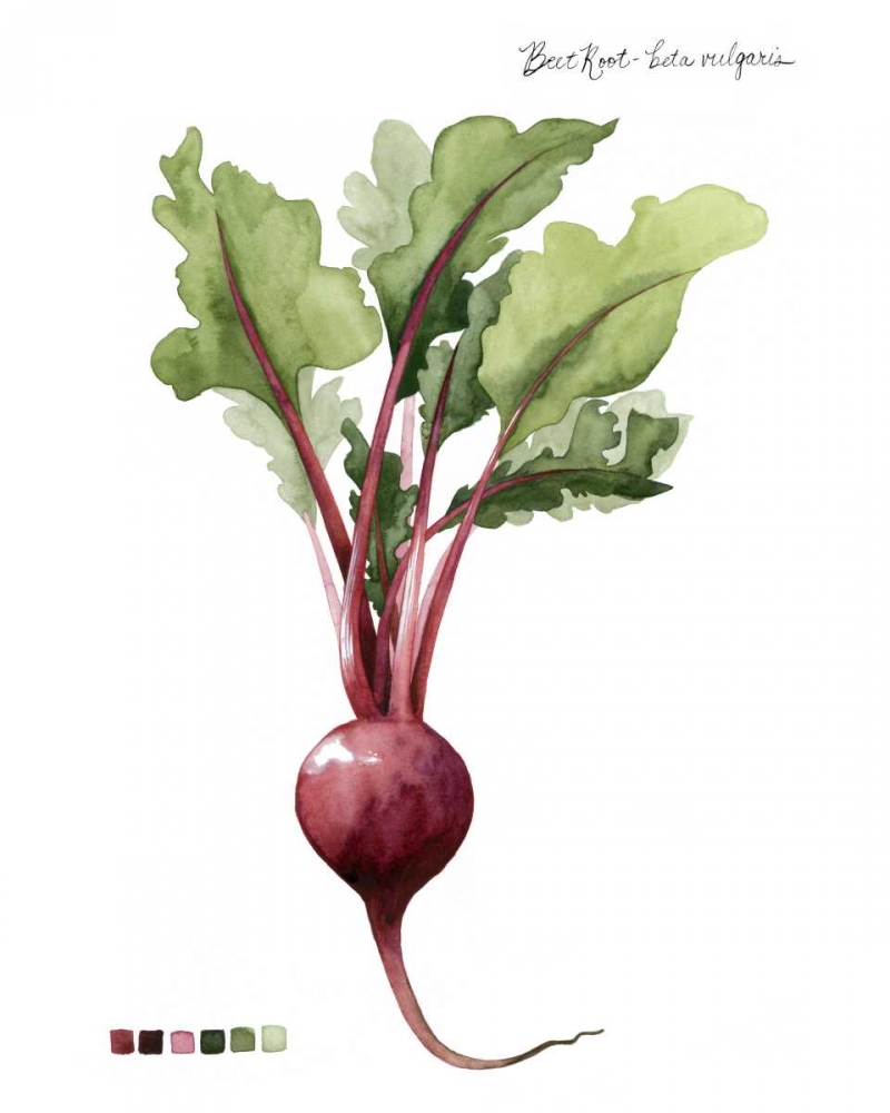 Root Vegetable II