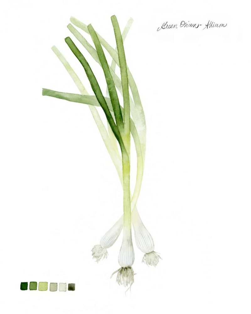 Root Vegetable V