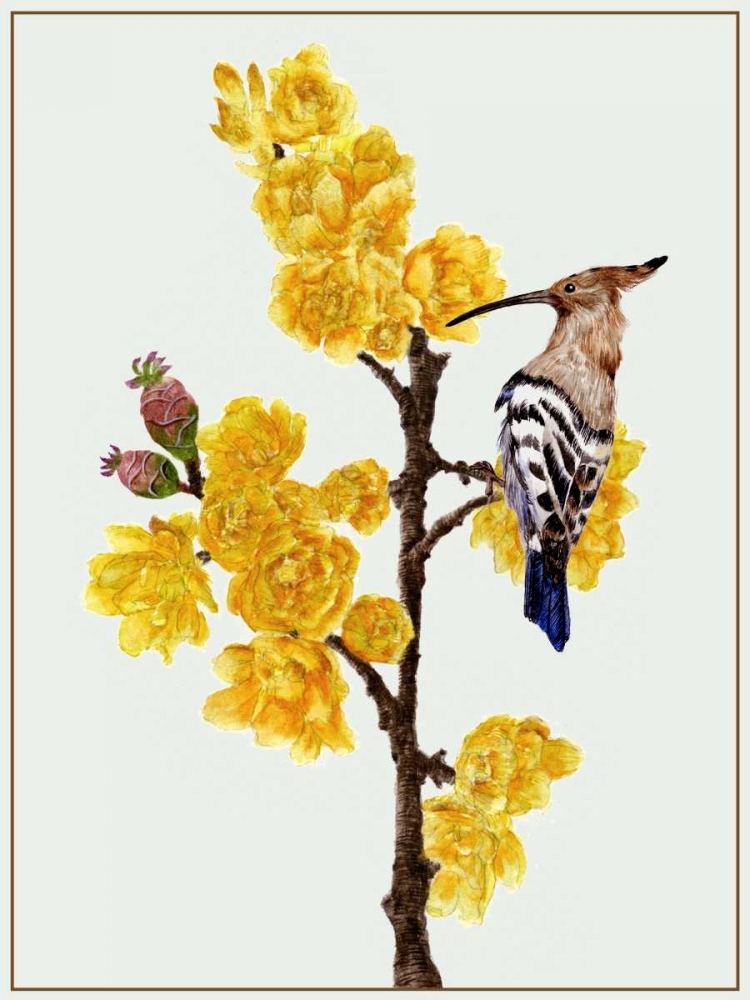 Chimonanthus Praecox II