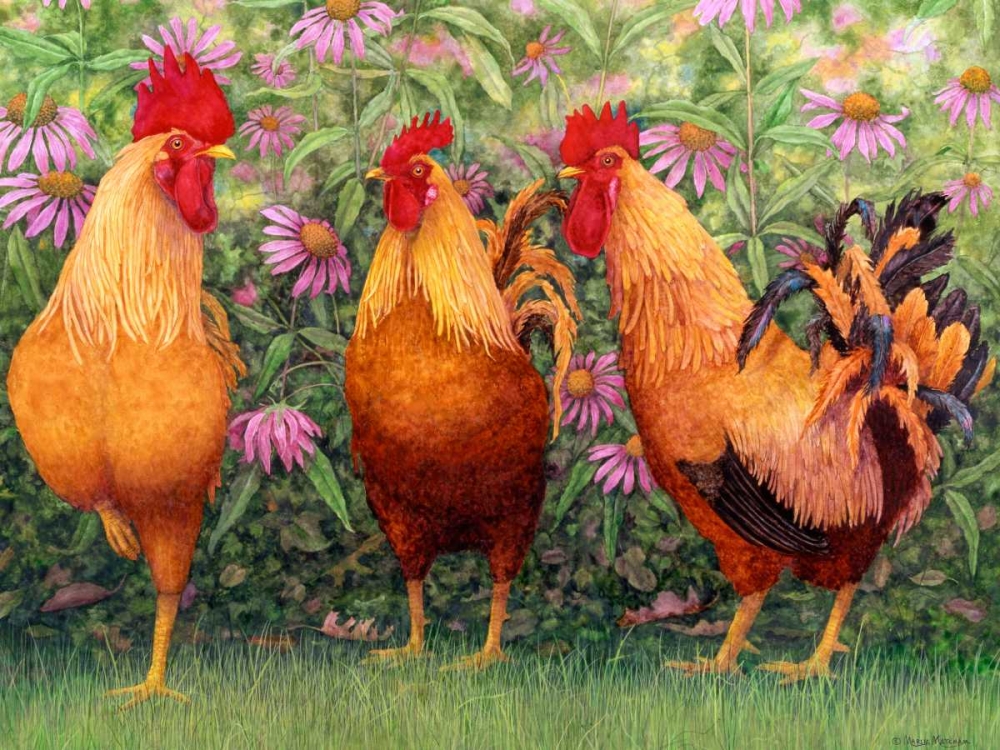 Roosters en Place I