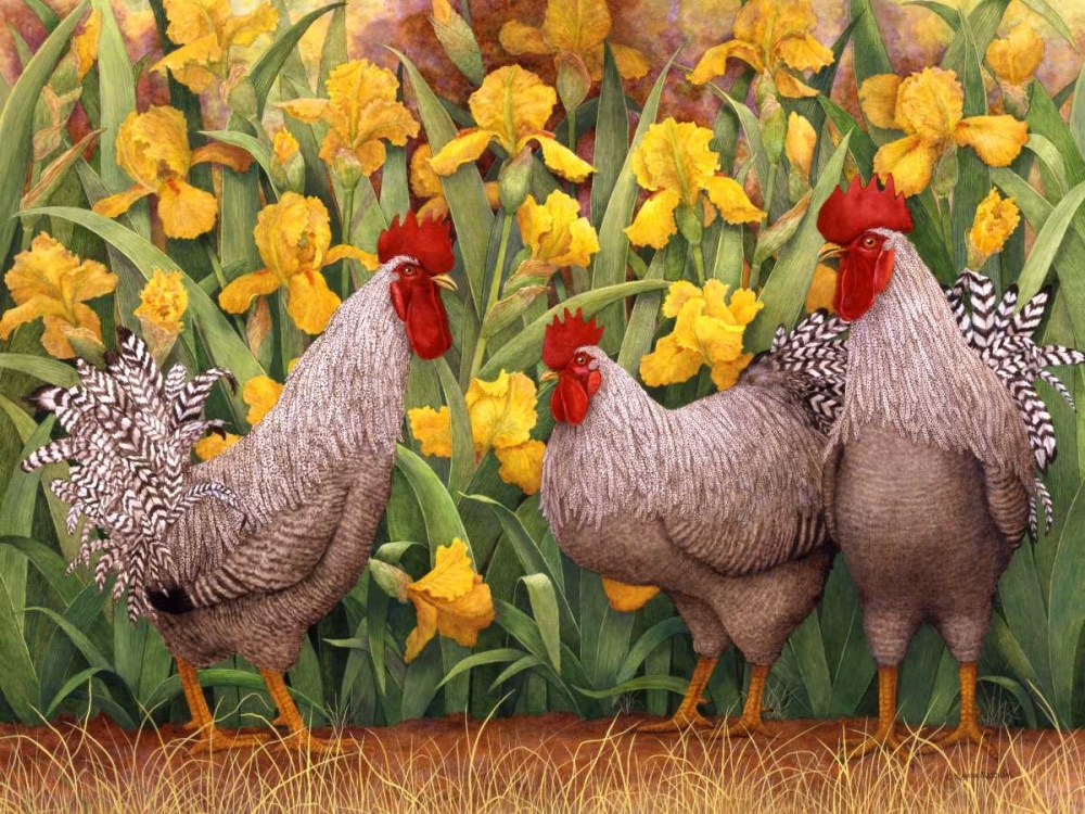Roosters en Place II