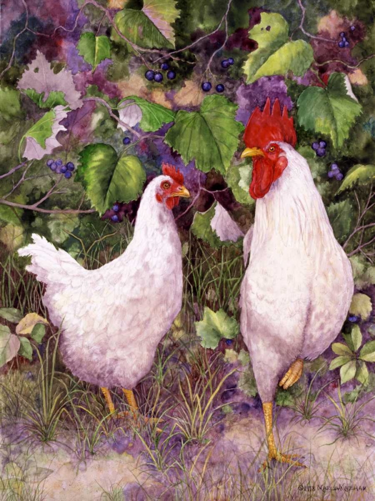 Roosters en Place IV