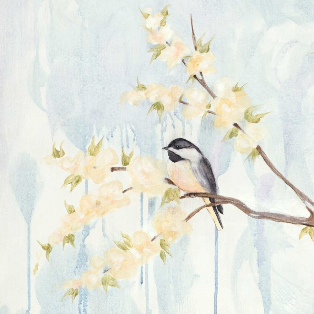 Spring Chickadees I