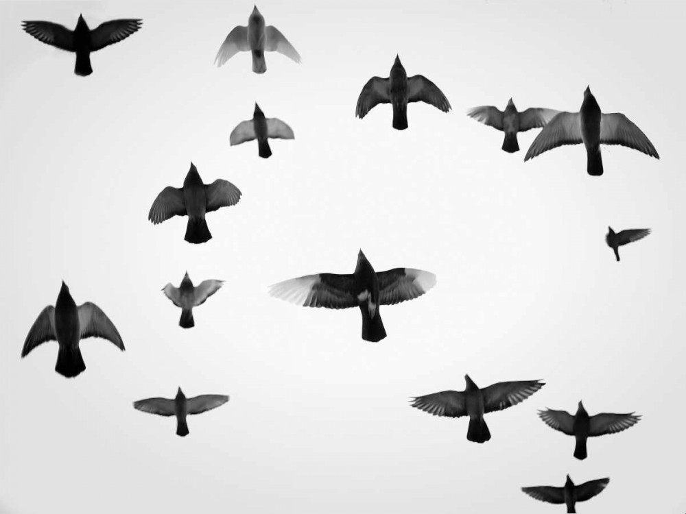 In the Skies I