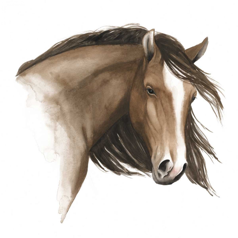 Wild Horse I