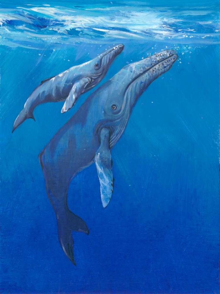 Under Sea Whales I