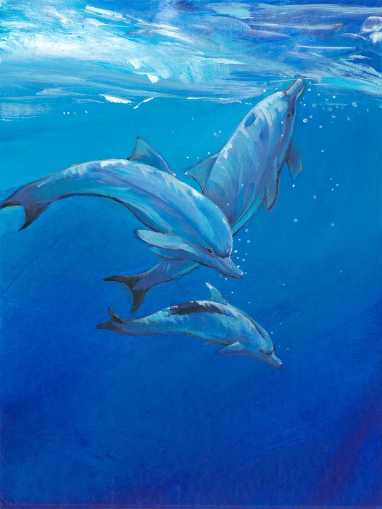 Under Sea Dolphins