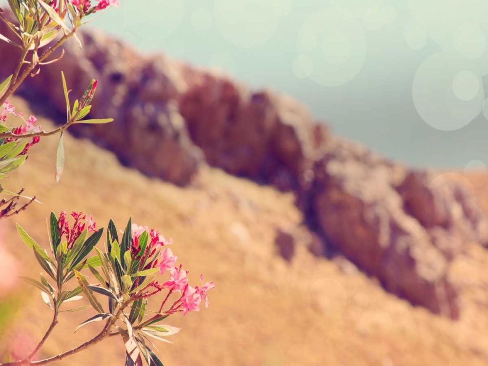 Flowers in Paradise I