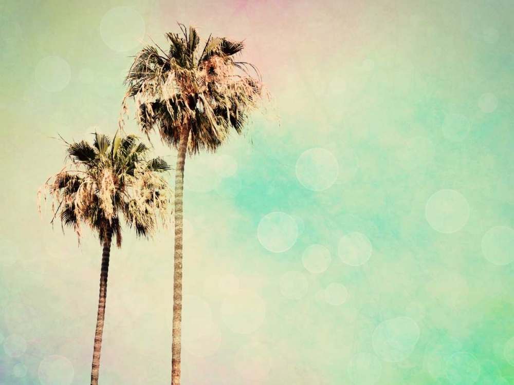 Palm Trees I