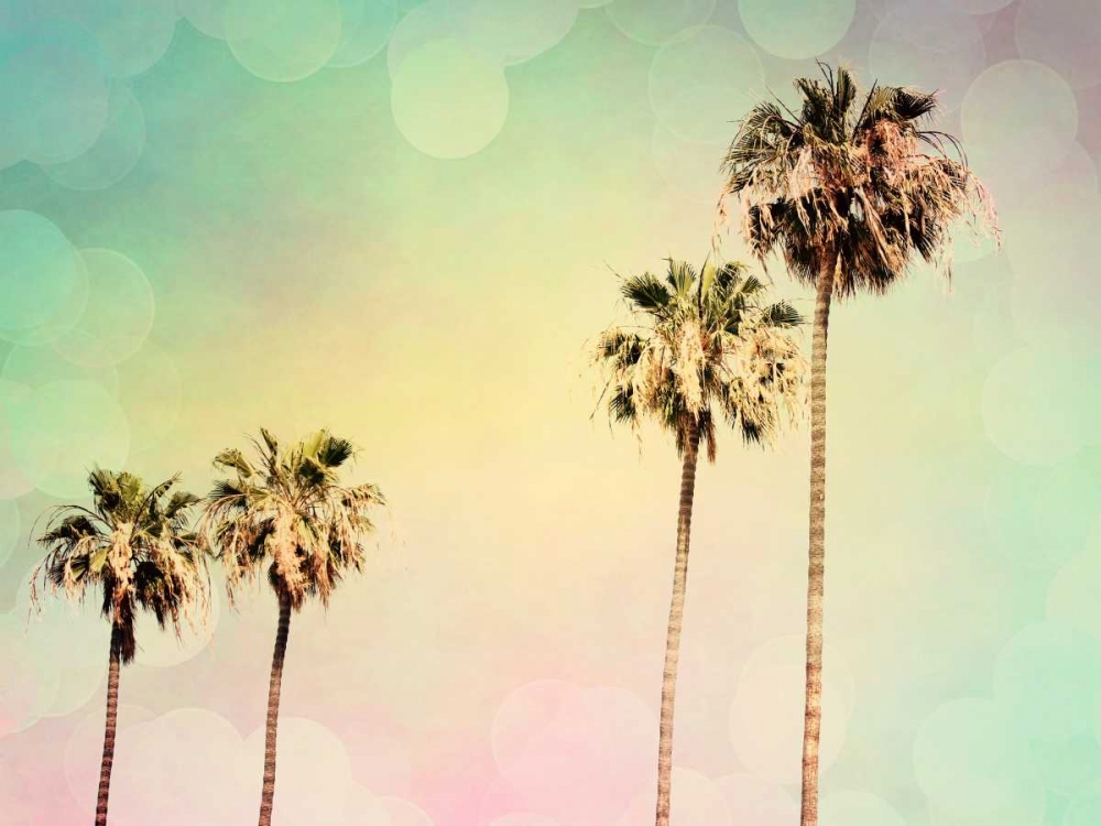 Palm Trees II