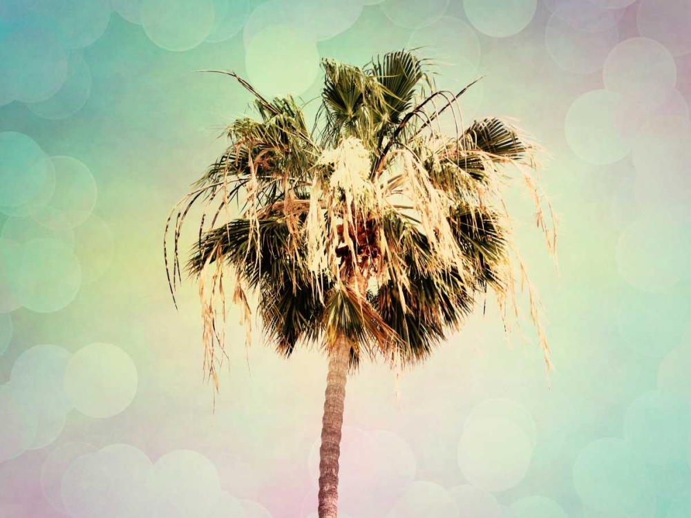 Palm Trees III