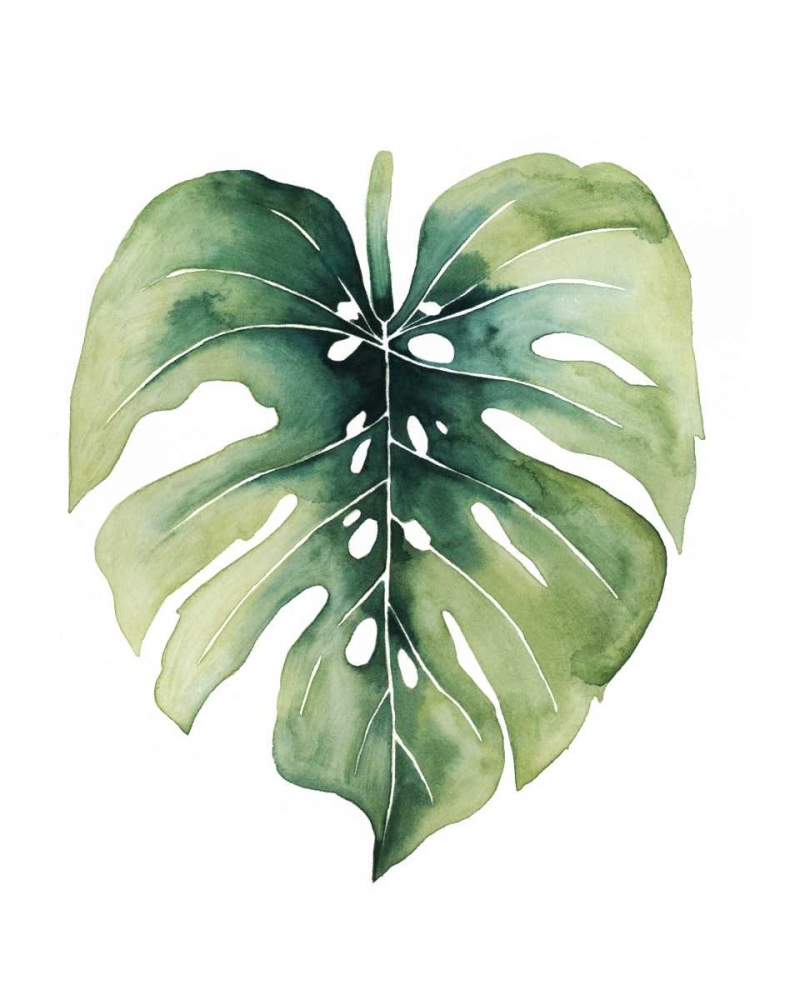 Custom Paradise Palm Leaves on white I