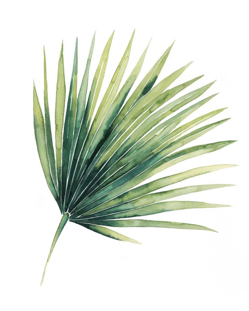 Custom Paradise Palm Leaves on white II