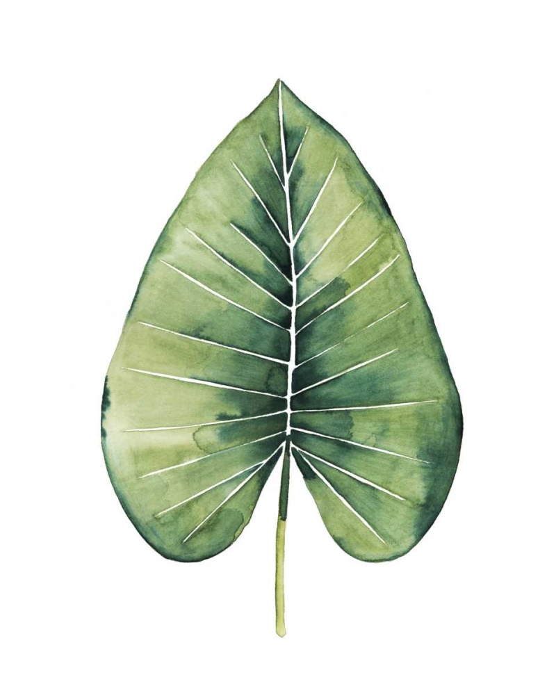 Custom Paradise Palm Leaves on white III