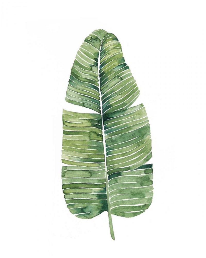 Custom Paradise Palm Leaves on white IV