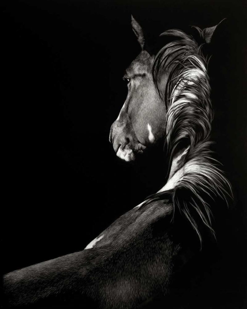 Scratchboard Sunstruck