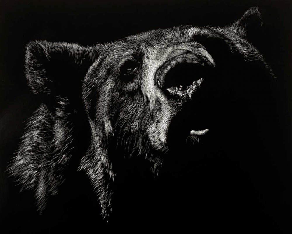 Scratchboard Critic