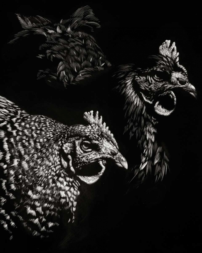 Scratchboard Skeptics