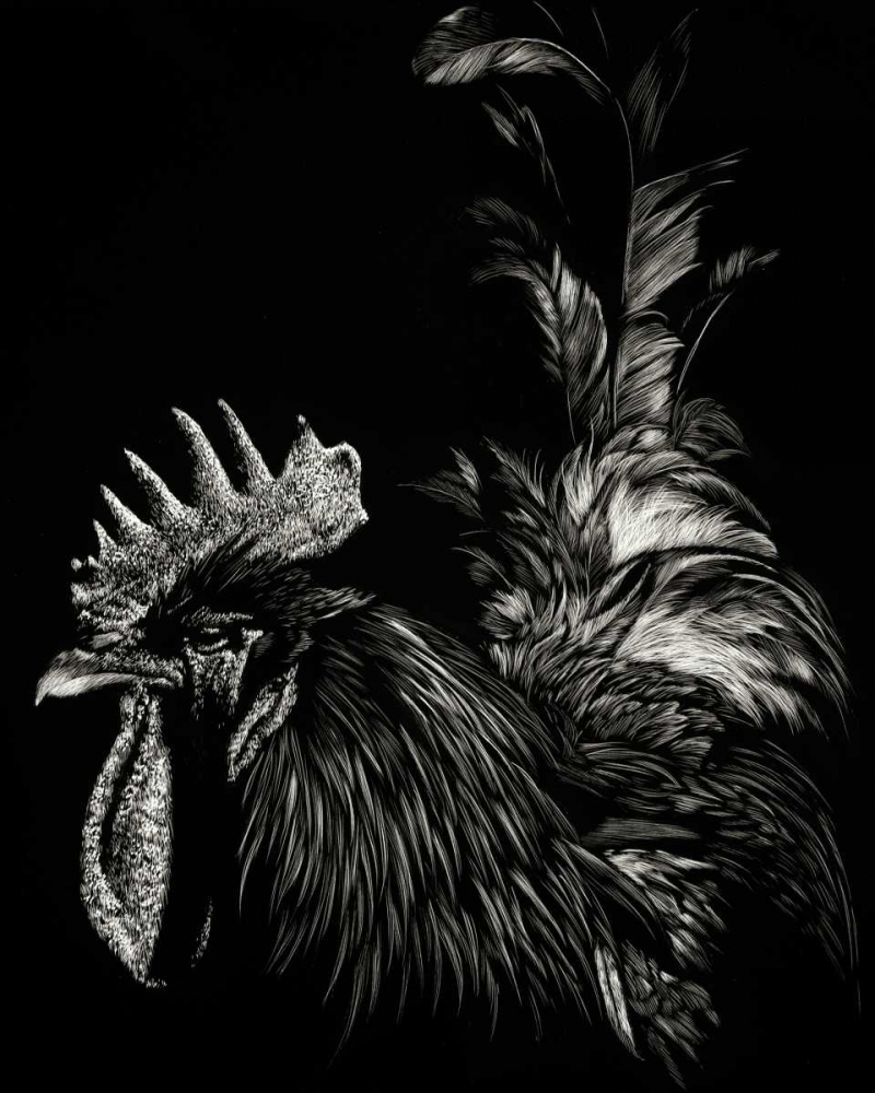 Scratchboard Tyrant