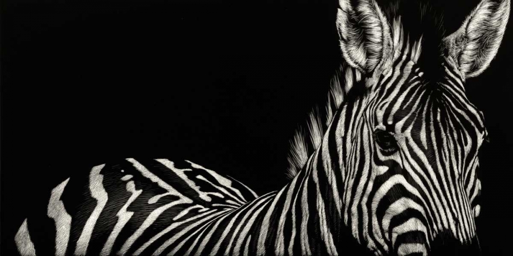 Scratchboard Incline