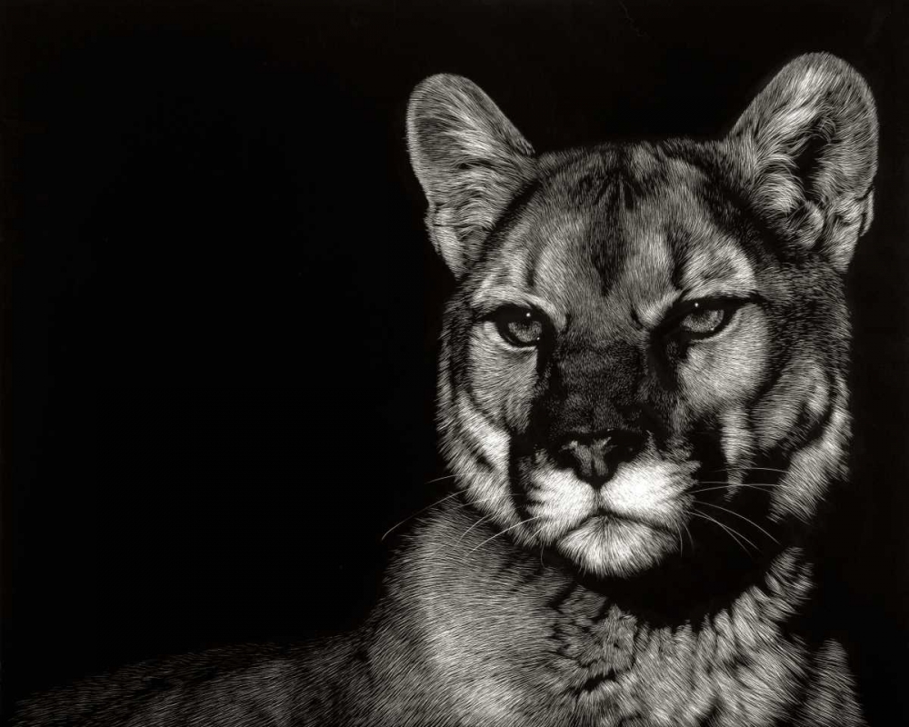 Scratchboard Nightfall