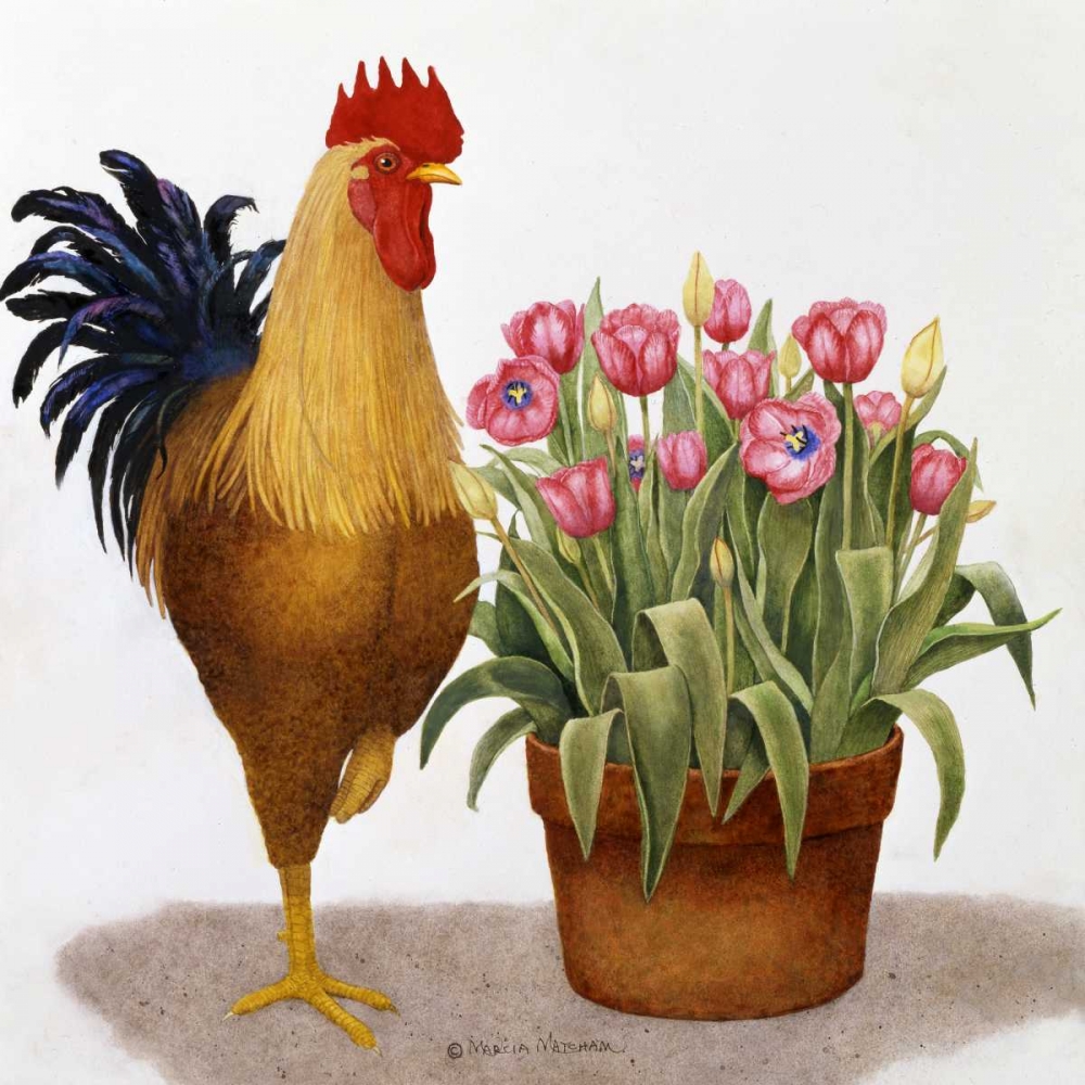 Tulip Time
