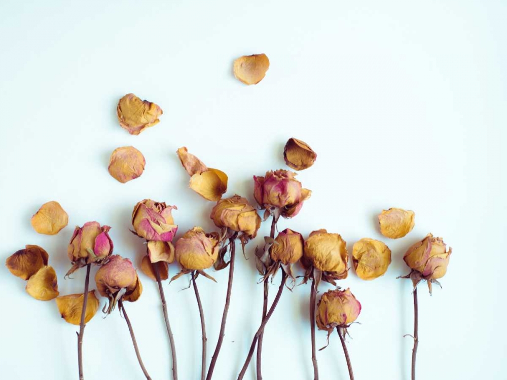Golden Petals II