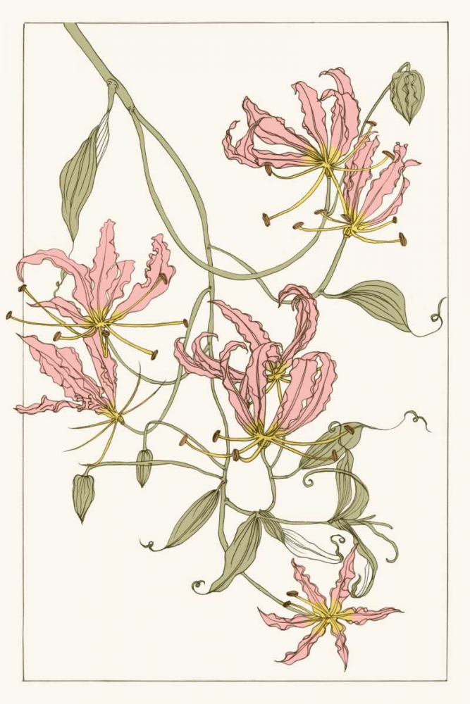 Botanical Gloriosa Lily II