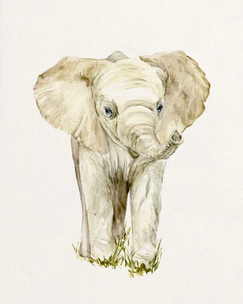 Baby Elephant II