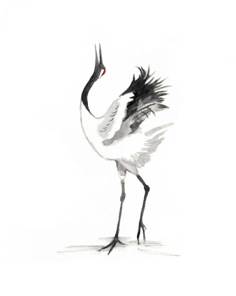 Japanese Cranes IV