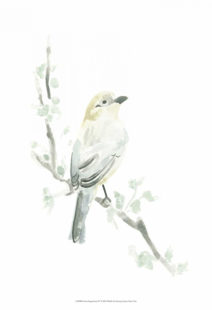 Avian Impressions IV