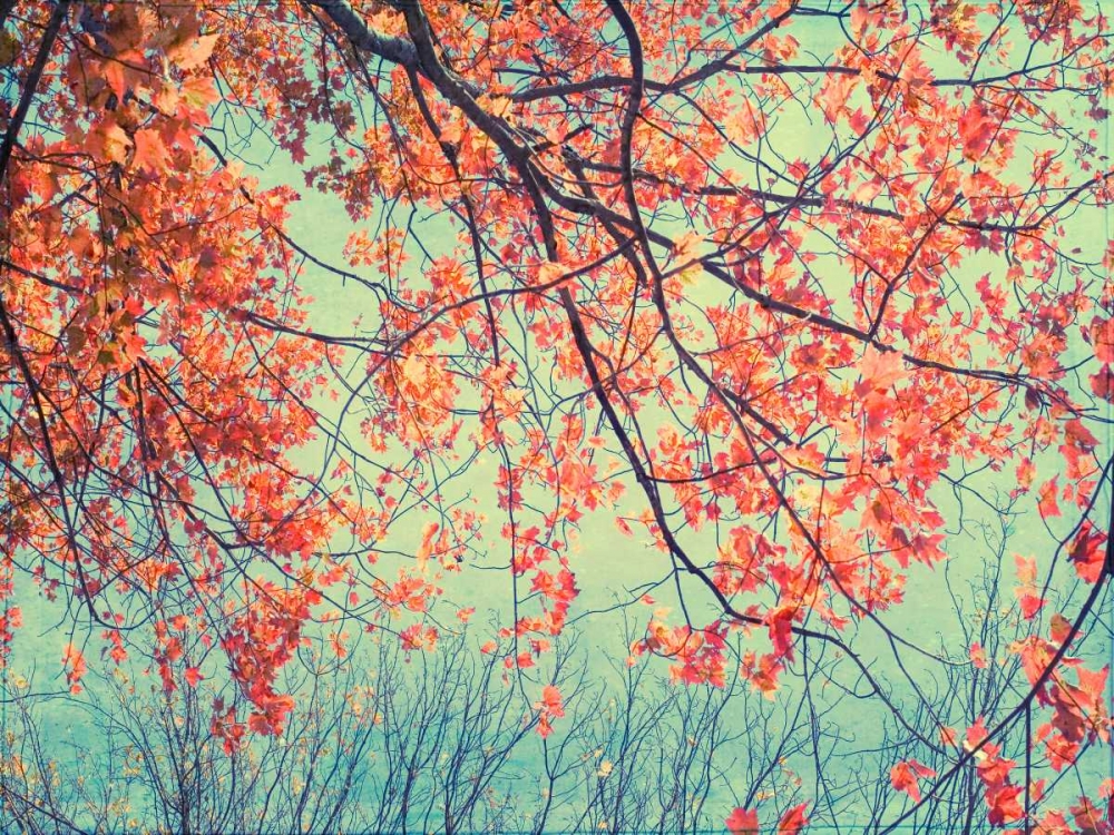 Autumn Tapestry II