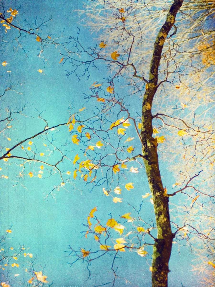 Autumn Tapestry III