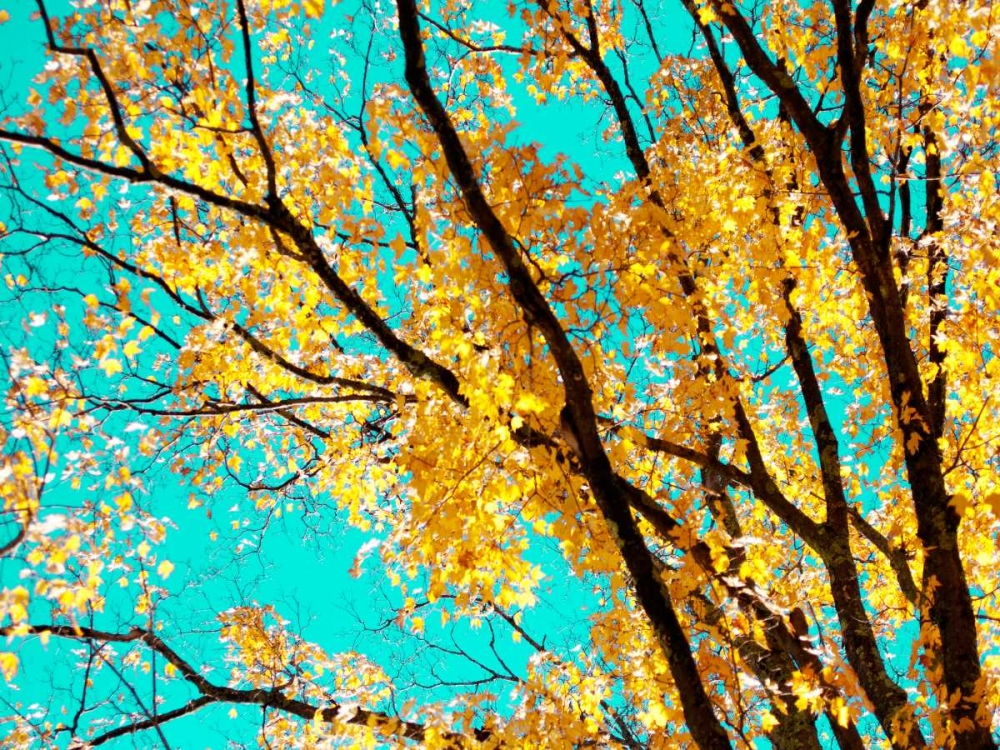 Autumn Tapestry IV