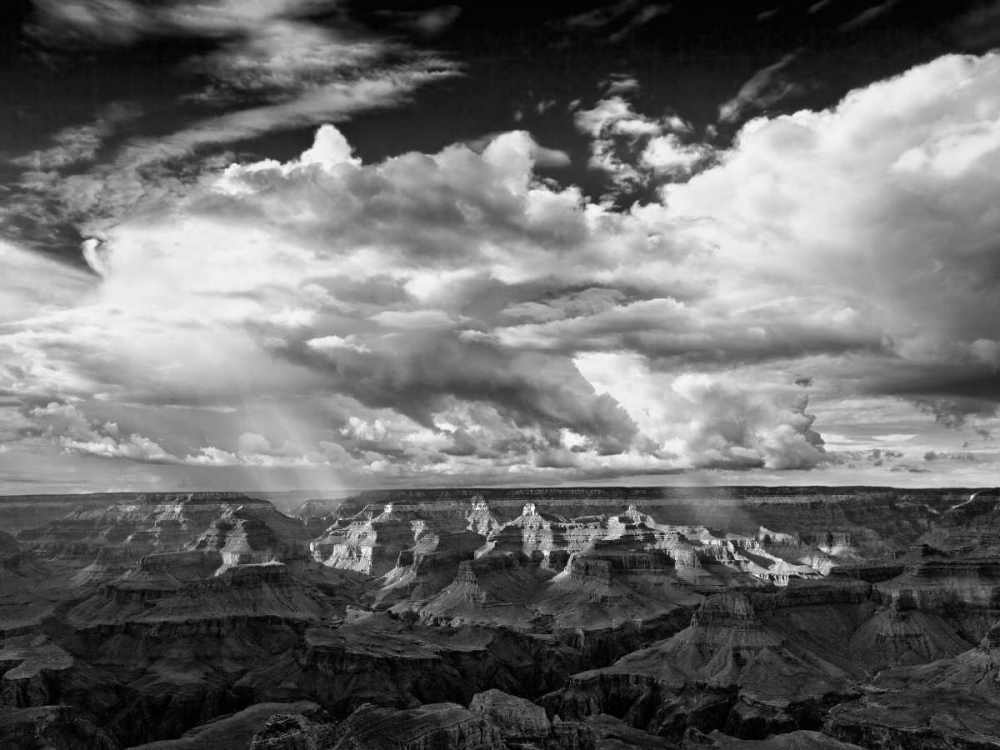BandW Desert View IV