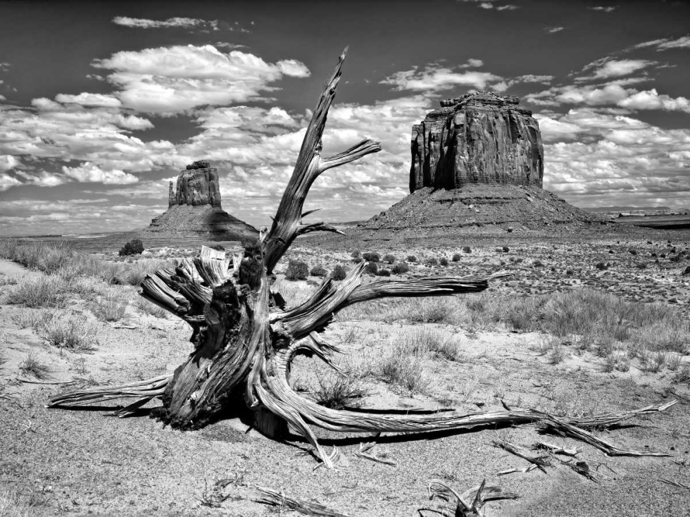 BandW Desert View V