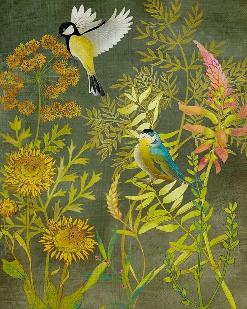 CH Birding I