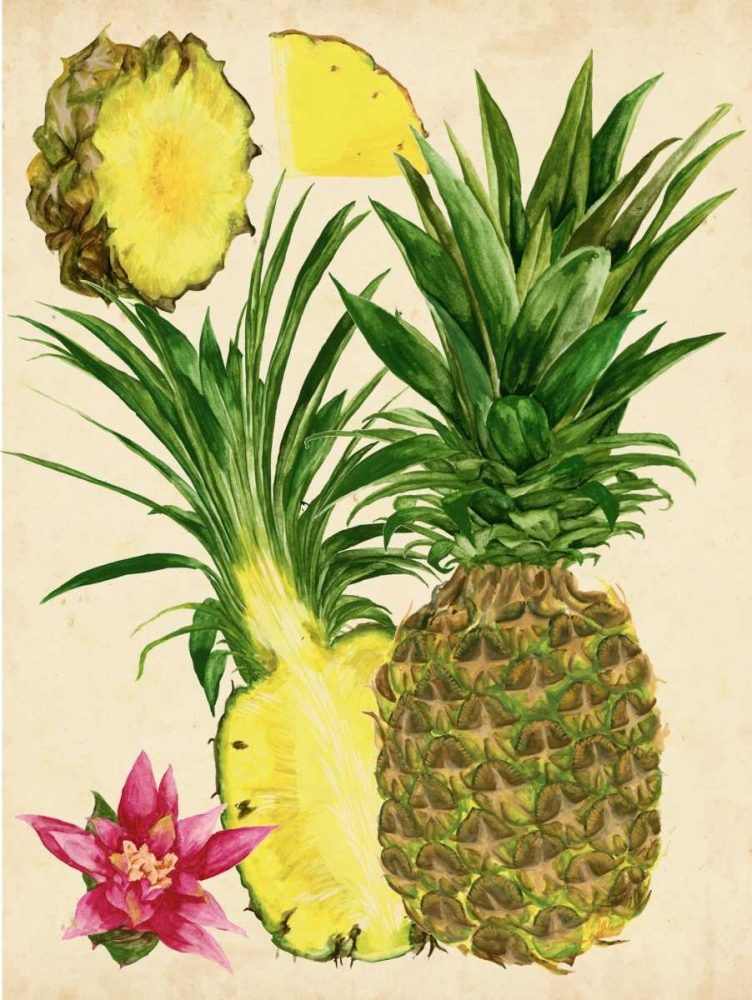 Tropical Pineapple Study II