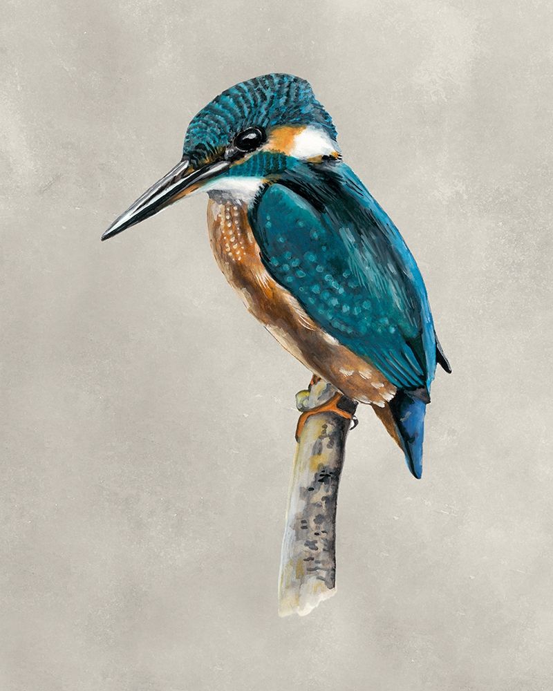 Winged Beauty I