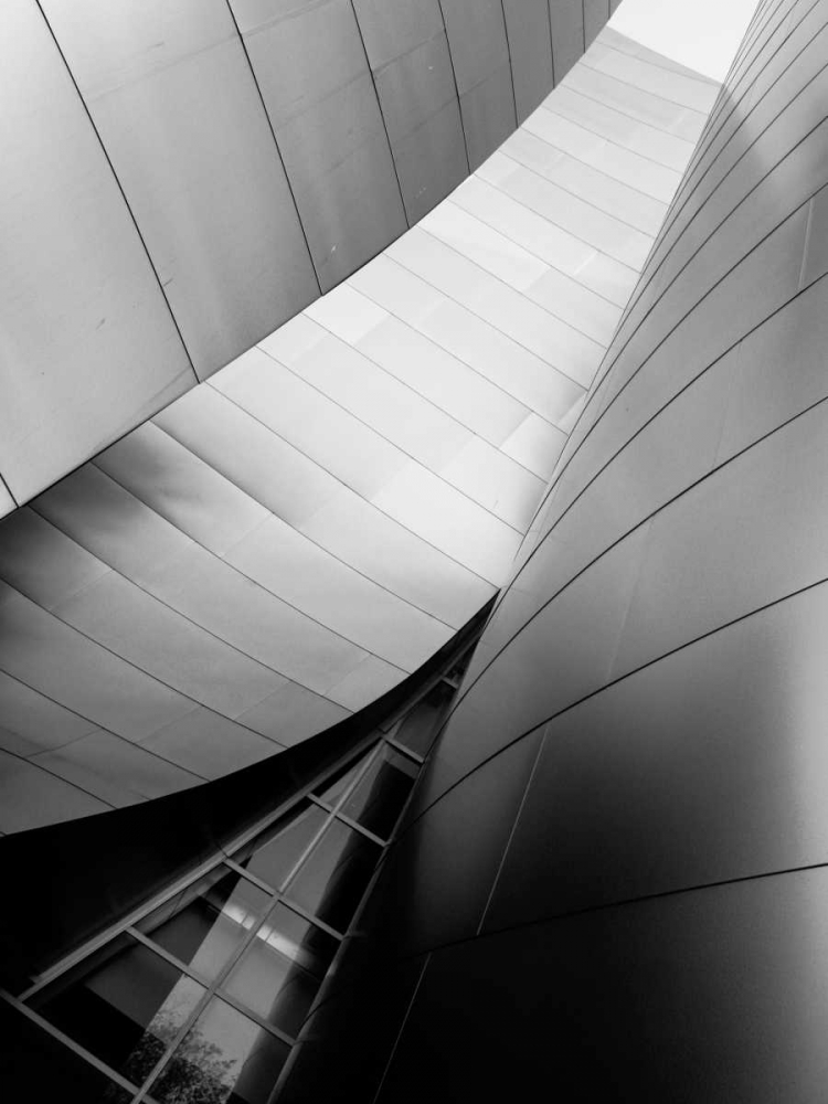 Ode to Gehry 6