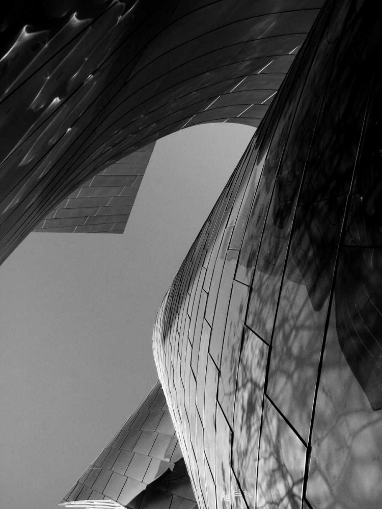 Ode to Gehry 7