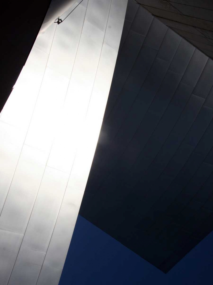Ode to Gehry 52