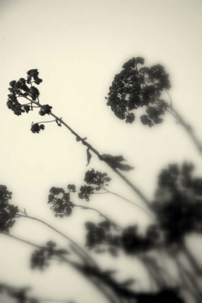 Photography/Landscape 154