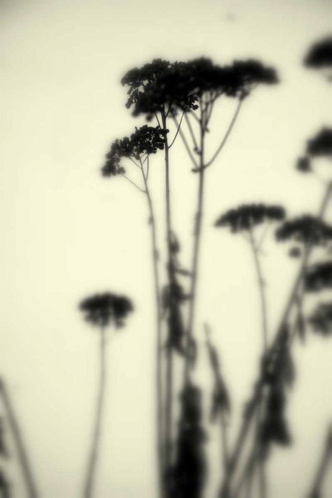 Photography/Landscape 156